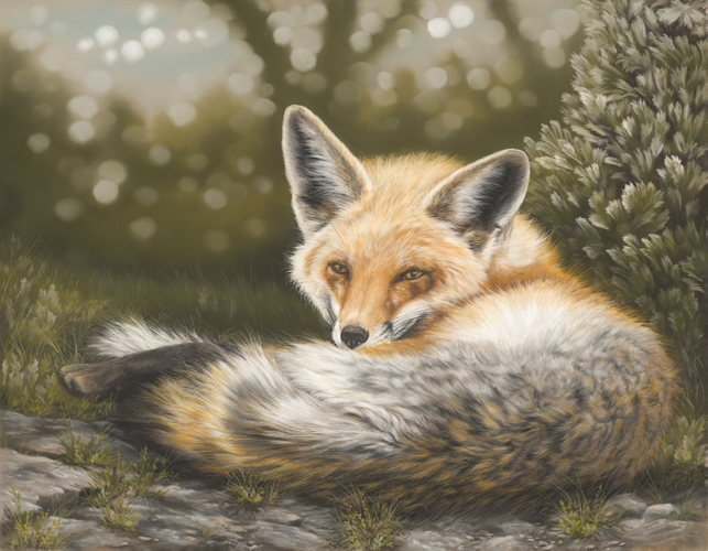 Amber Solitude, Fox 14x18 $1600 at Hunter Wolff Gallery